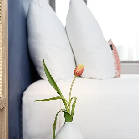 شقة فندقية Boutique