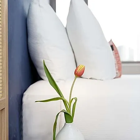 Boutique شقة فندقية 4*
